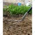 2 in 1 Culti-Weeder, Hand Weeder (Manual) with 4.5 Feet Handle