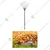 DAP Telescopic Metal Rake, (30-63 inch) Adjustable Handle Rake for Lawn, Garden Broom with Long Handle