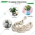 Ecofynd Handwoven Cotton Macrame Hanging Planter for Beautiful Home & Garden Decor(Pack of 5)