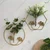 Ecofynd Wall Decor Hanging Flower Vase, Metal Holders for Plants - Pack of 3 (HVASE004-GO-103)