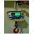 Voda 200 Kg Load Capacity Heavy Duty Hanging Scale