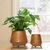 Ecofynd Hazel Metal Planter Pot with Stand Home Decor Item for Balcony and Living Room(Pack of 2)