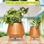 Ecofynd Hazel Metal Planter Pot with Stand Home Decor Item for Balcony and Living Room(Pack of 2)