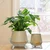 Ecofynd Pack of 2 Hazel Metal Planter Pot with Stand | Home Decor Item for Balcony, Living Room (Daisy White)