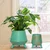 Ecofynd Set of 2 Hazel Metal Planter Pot with Stand | Home Decor Item for Balcony, Living Room (Turquoise)
