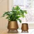 Ecofynd Hazel Metal Planter Pot with Stand Home Decor Item for Balcony and Living Room(Pack of 2)
