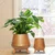 Ecofynd Pack of 2 Hazel Metal Planters with Stand | Home Decor Item for Balcony, Living Room (Orange)