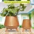 Ecofynd Pack of 2 Hazel Metal Planters with Stand | Home Decor Item for Balcony, Living Room (Orange)