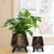 Ecofynd Pack of 2 Hazel Metal Planter Pots with Stands | Home Decor Item for Balcony, Living Room (Coffee Color)
