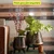Ecofynd Pack of 2 Hazel Metal Planter Pots with Stands | Home Decor Item for Balcony, Living Room (Coffee Color)