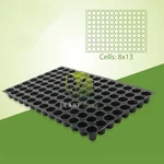 PLANT CARE 104 Cavities Multiple Use (1 mm) Seedling Tray for Seedling and Germination