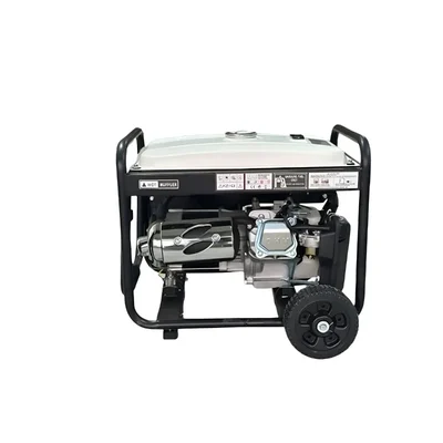 Economic Range 2.8 KVA Recoil & Self Start Portable Petrol Generator
