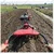 Aashna 7HP Diesel Power Weeder - 4 Stroke Heavy Duty Agriculture Tiller for Farming