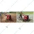 Aashna 7HP Diesel Power Weeder - 4 Stroke Heavy Duty Agriculture Tiller for Farming