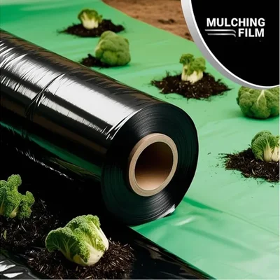 Orifresh 30mic Heavy Duty Mulching Film of 4x400m for Weed Barrier & Crop Protection