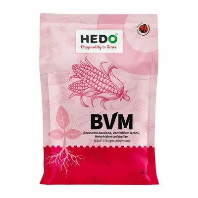HEDO 1 kg BVM Powder - Beauveria + Verticillum+ Metarhizium ,Consortia To Control Insect