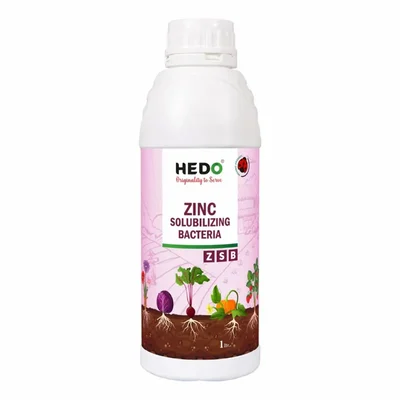 HEDO 1 Liter HEDO Zinc Solubilizing Bacteria Bio Fertilizer-ZSB Liquid for All Crops & Plants Manure