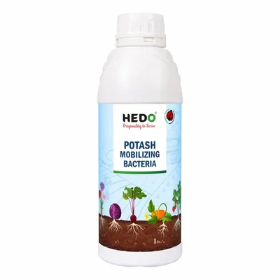HEDO 1 Liter KMB (Potassium Solubilizing and Mobilizing Bacteria–KSB/KMB) Liquid for Crop Manure