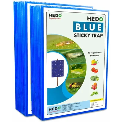 HEDO A4 Blue Sticky Trap Pack of 50 (2 Unit)
