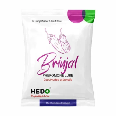 HEDO Brinjal Lure (Leucinodes Orbonalis) for Brinjal Fruit and Shoot Borer Insect - Pack of 10