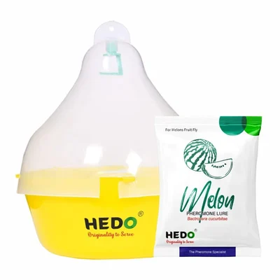 HEDO Maxplus Melon Fly Trap, Targets Bactrocera Cucurbitae in Cucumber, Gourd, Pumpkin & Watermelon - Pack of 10
