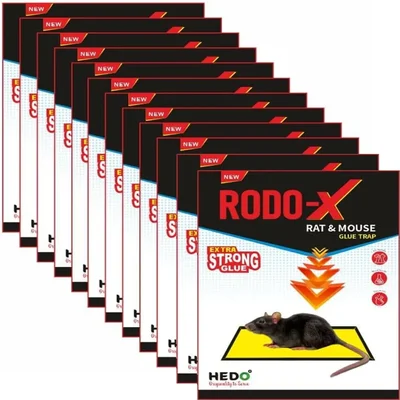 HEDO RODO-X Rat Big Size Trap - Pack of 12