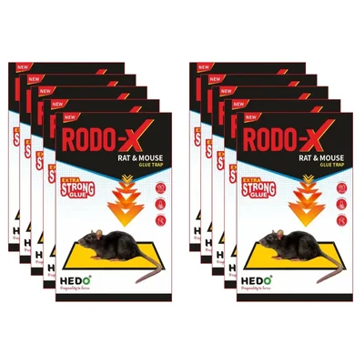 HEDO RODO-X Rat Small Size Trap - Pack of 10