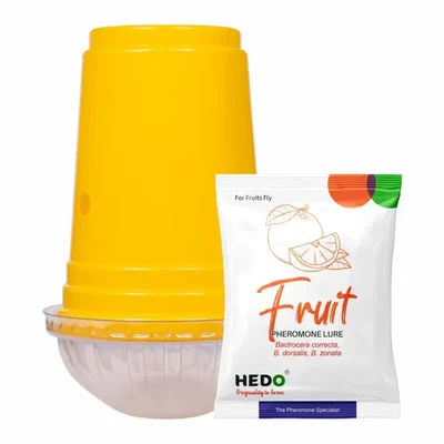HEDO Yellow IPM Fruit Fly Trap & Lure, Controls Bactrocera (Correcta, Zonata, Dorsalis) in All Fruits - Pack of 10