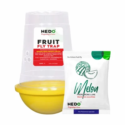 HEDO Yellow IPM Melon Fly Trap & Lure, For Cucumber, Bottle Gourd, Bitter Gourd, Pumpkin & Watermelon - Pack of 10
