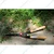 Sunya 211006 Wavy Hedge Shear With Wooden Handle, Carbon Steel Hedge Shear For Gardening