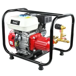 Really RAPL-PS-41G High Pressure Portable Power Sprayer for Agriculture use