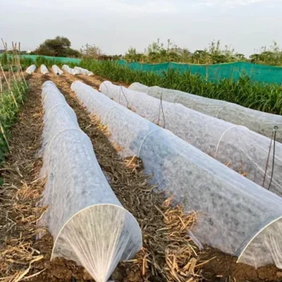 High Quality 20 GSM, 1.6 x 625 meter Non Woven Crop Protection Cover