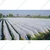 High Quality 20 GSM, 1.6 x 625 meter Non Woven Crop Protection Cover
