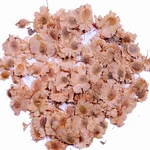 Holoptelea Integrifolia (Indian elm / jungle cork tree / Aavu maram) Tree Seeds 100G