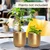 Ecofynd Combo of 2 Round Metal Planter, 2 Wall Hook Plant Bracket, 2 Cotton Boho Pot Hanging(COM009)