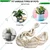 Ecofynd Combo of 2 Round Metal Planter, 2 Wall Hook Plant Bracket, 2 Cotton Boho Pot Hanging(COM009)