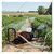 Honda AM-30 With GX-160 Engine HTP Power Sprayer  For Agriculture, Industries and Other Uses