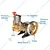 Sampoorti HTP 22, Triple Piston High Pressure Pump For For Cleaning & Agricultural Spray