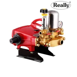 Really RAPL-PS-A1-30, HTP-30 Pump for Agricultural Spraying, High Pressure Cleaning & Car Washing