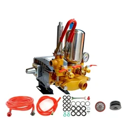 Really RAPL-PS-A65, HTP-65 Pump for Agricultural Spraying, High Pressure Cleaning & Car Washing