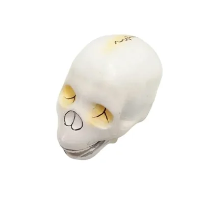 Akivin Human Skull Full Size Anatomy Cranial Bones Model Skeletal System
