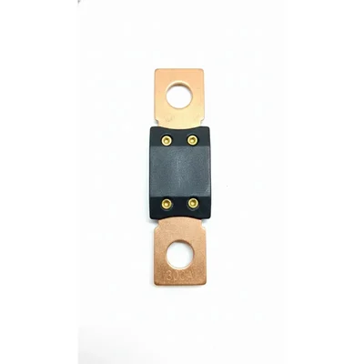 HUMSER 300Amp Bolt-Mounted Mega Fuse Automotive DC Overcurrent Protector