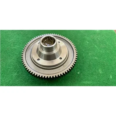 HUMSER 71 Teeth E-Rickshaw Main Gear Grari