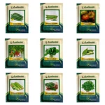 Pack of 9 Varieties Home Gardening Hybrid Vegetable Seeds Kit High Germination Rate All Season Seed Set
