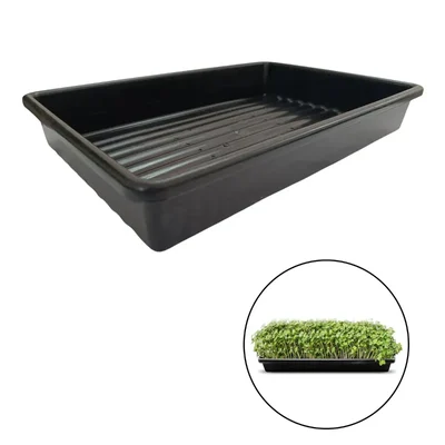 Hydroponics Tray with Water Drainage Holes of Size 1 X 1.5 Feet (Pack of 12 Pieces)