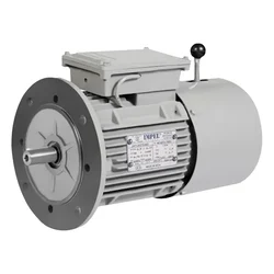 Impel 1 HP Three Phase 4 Pole Flange Mounted AC Induction Motor With DC Braking System - 2 Years Warranty
