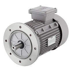 Impel IE2 Series 25 HP Three Phase 2 Pole Flange Mounted AC Induction Motor With 2 Years Warranty