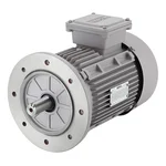 Impel IE2 Series 3 HP Three Phase 6 Pole Flange Mounted AC Induction Motor With 2 Years Warranty