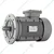 Impel IE2 Series 5 HP Three Phase 4 Pole Flange Mounted AC Induction Motor With 2 Years Warranty