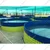 650 GSM Round Tarpaulin for Biofloc Fish Tank, Capacity 20000L